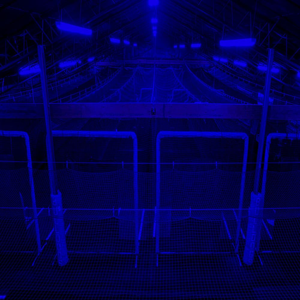 Aerial view of Athlos batting lanes